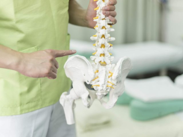 整骨院と整体院の違いとは？
